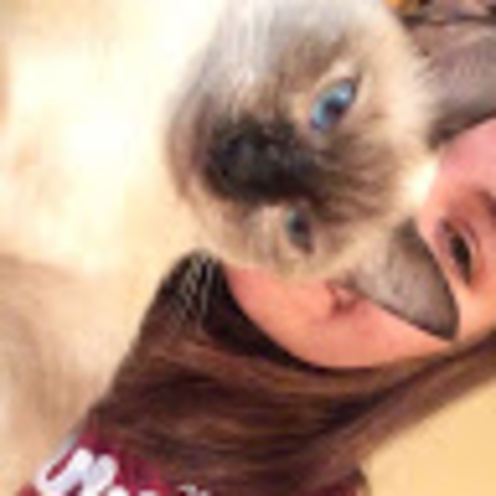 Meet your Posher, Samantha